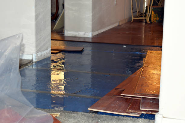 Professional Basement Water Removal technician working in Onondaga, MI
