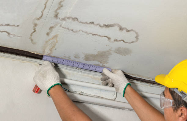 Reliable Basement Water Removal contractor in Onondaga, MI by Water Damage Irwin